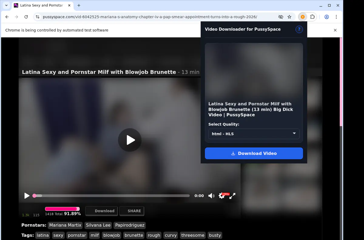 Pussyspace Video Downloader screenshot 3