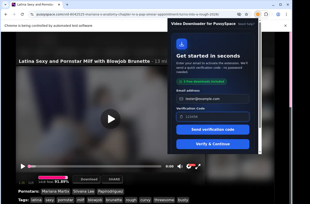 Pussyspace Video Downloader screenshot 4