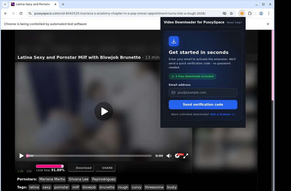 Pussyspace Video Downloader screenshot 5